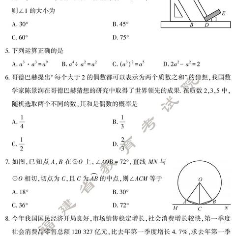 独家评测，深度解读2024年11月25日数学报特色与体验报告出炉！