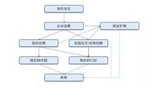 历史上的11月25日，休克抢救流程与自然美景之旅，探寻内心的静谧与平和