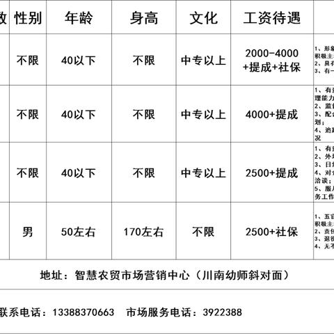 隆昌十一月招聘热点解析，观点论述与个人立场分析