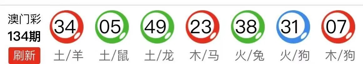 2023澳门马今晚开奖结果,持续改进策略_采购版DLD13.95