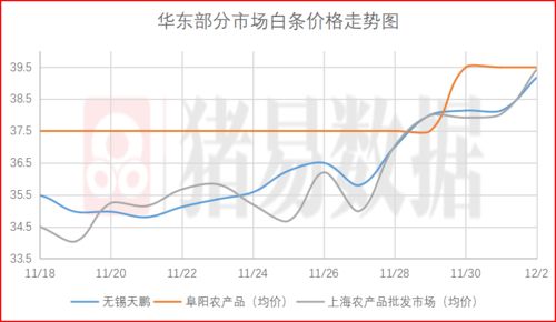 2024新澳门免费资料查询,高速应对逻辑_采购版NIB13.3