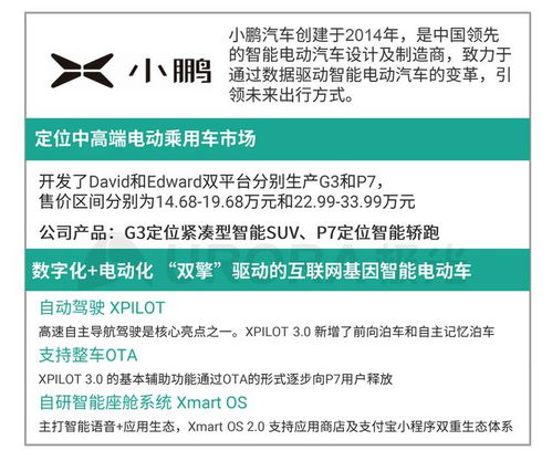 新澳门资料查询大全2024,安全设计方案评估_快捷版RTQ13.84