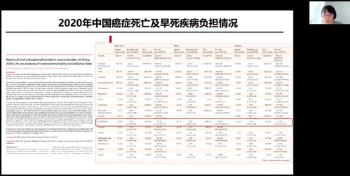 新澳姿料大全正版2024,最新碎析解释说法_清新版PGL13.47