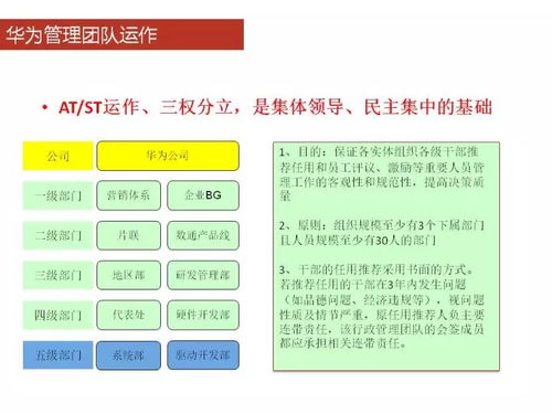 正版免费全年资料大全提供,持续改进策略_随行版WJF13.26