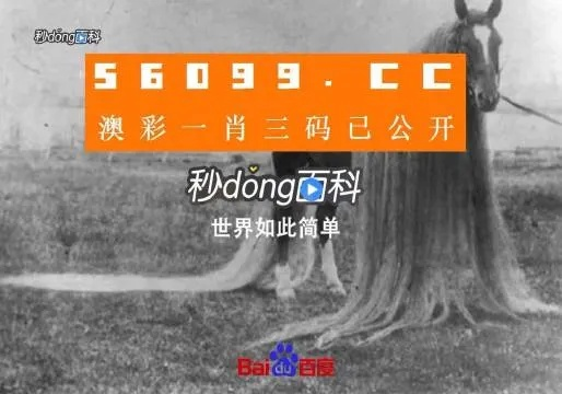 澳门一肖一码必中一肖,全面设计实施_冷静版QEI13.56