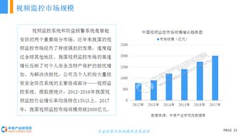 新澳彩资料免费资料大全33图库,实际调研解析_智能版XCS13.20