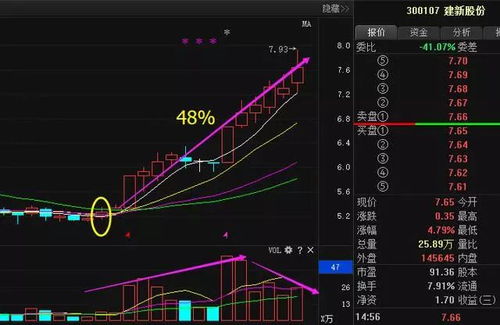 香港晚上开什么特马,精细评估方案_乐享版AEN13.83