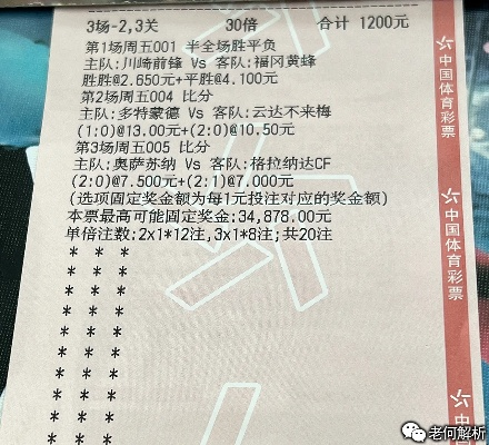 2023年白小姐王中王奖结果,快速解答方案实践_生态版MIZ13.60