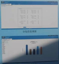 2024年11月 第176页