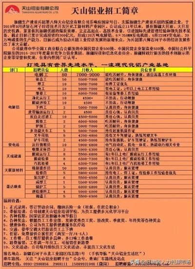 深度解析，新疆铝厂招聘网热门现象与个人立场探讨