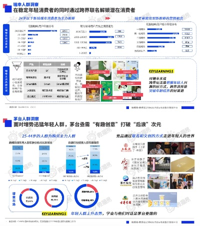 2024年正版资料大全,策略调整改进_目击版MMU13.57