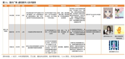 新奥马开奖结果查询,全面信息解释定义_装饰版SDT13.17