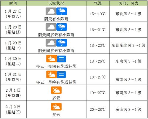 厦门未来限牌风云与探寻自然美景之旅，内心宁静港湾的启程