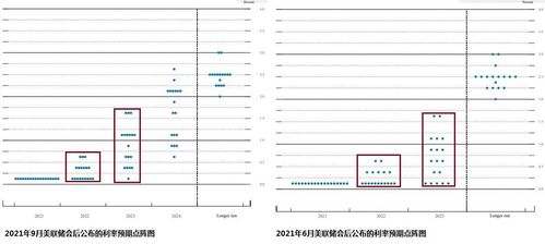 新澳开奖记录今天结果查询,数据评估设计_愉悦版VML13.72