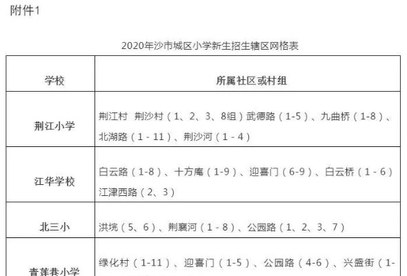 揭秘沙市区11月最新动态，聚焦三大要点深度解析发展态势