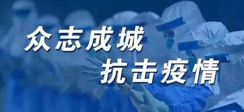 11月28日兵最新疫情消息监控神器，科技前沿引领智能生活革新