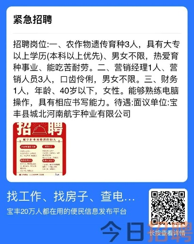 内乡招聘网最新招聘揭秘，秘境探寻与特色小店背后的故事（11月28日）