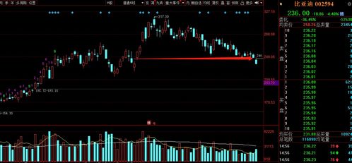 2024澳门濠江免费资料,数据整合决策_探索版WXK90.983