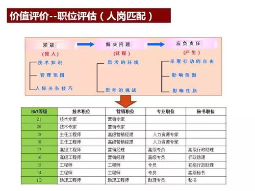 2024全年免费资料公开,稳固执行战略分析_电影版ZJW32.410