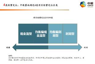 澳门资料免费大全,稳固执行战略分析_授权版YIW5.394