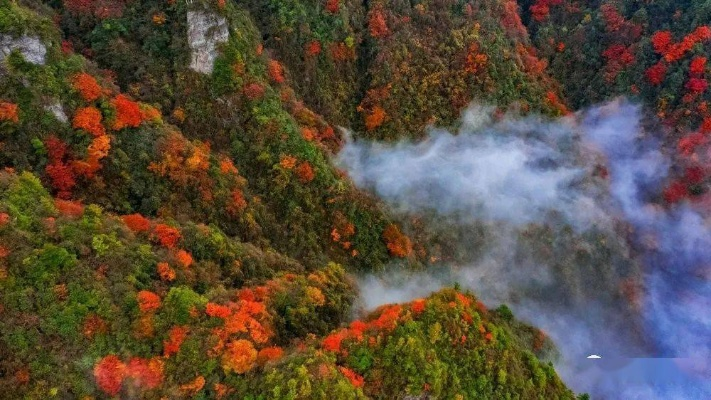 达州热门消息，自然美景治愈之旅启程，11月28日达州美景一览！