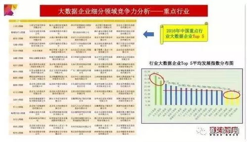 2024澳门精准正版图库,实地数据评估分析_授权版IHR13.552