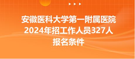 2024年11月28日洋浦招聘网最新招聘趋势展望与行业洞察