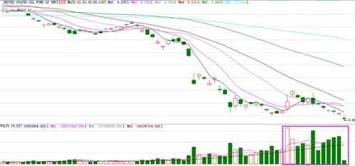 原油价格的奇妙旅程，今日价格最新报价与友情相伴的温馨故事