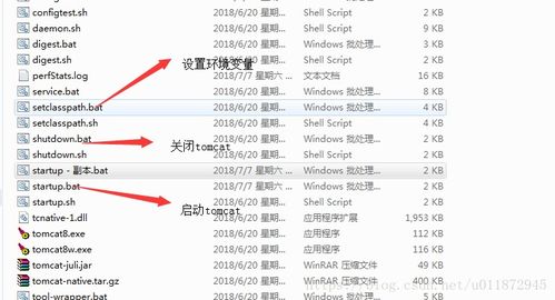 往年12月1日下载最新客户端的综合解析与体验报告