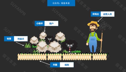 2024今晚开特马开奖,互动性策略设计_UKU59.866并行版