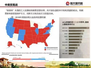 澳门2024年335期,高速应对逻辑_TJW55.312多元文化版