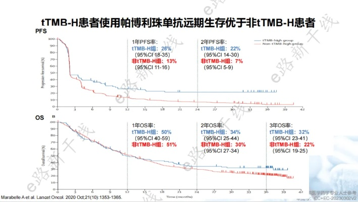 往年12月1日最新替尼深度解析，探析观点与剖析探讨