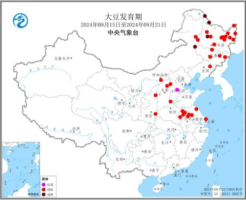 四川广安化龙热门规划指南，从初学者到进阶用户的实施步骤详解（2024年）