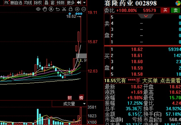 赛隆药业重磅消息揭晓，行业瞩目下的新里程碑（2024年12月1日）