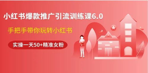 小红书引领米特号热门潮流，12月1日爆款集结，精彩不容错过