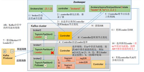 2024新澳天天免费资料大全337期,实地数据分析计划_U59.613-6