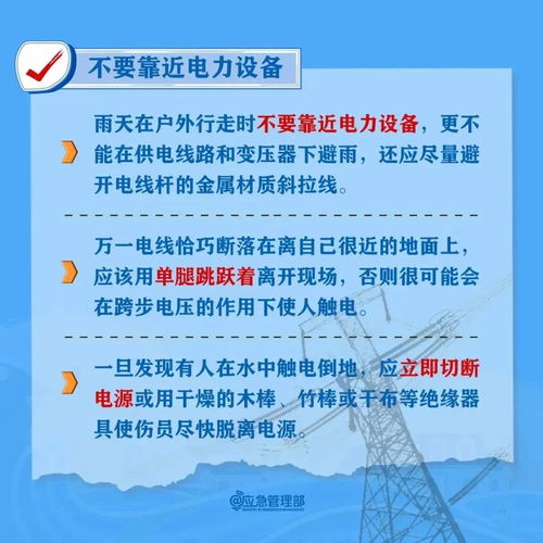 水灾之后的新篇章，逆流而上，学习变化的力量引领光明未来