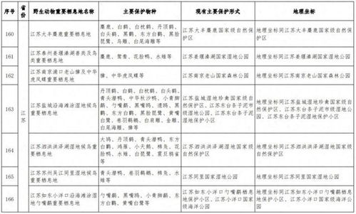 澳门2024年精准资料大全,实践评估说明_特别款90.419-2