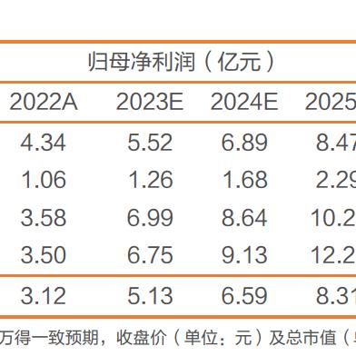 2024年12月3日 第5页