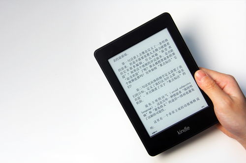 338期澳门特马最新开奖结果,整体执行讲解_Kindle55.685-4