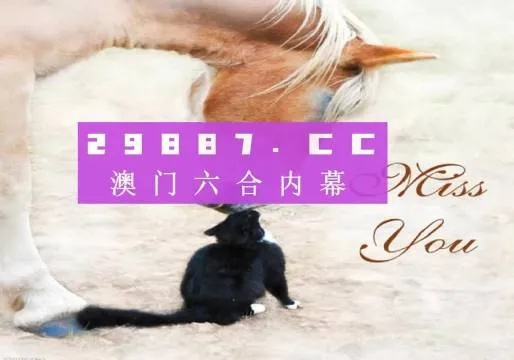 4949澳门今晚开奖,权威数据解释定义_黄金版112.431-4