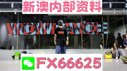 新澳门精准资料大全管家婆料,最新研究解读_IVR10.893加速版