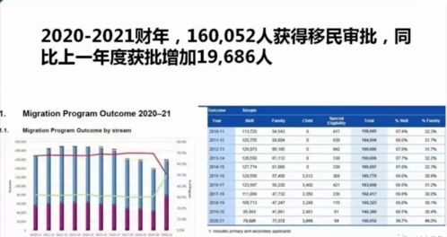 新澳一码一肖100,多元化诊断解决_EZZ68.755设计师版