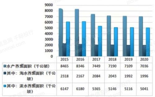 49269是澳彩资料的来源吗,决策信息解析说明_RX版42.426