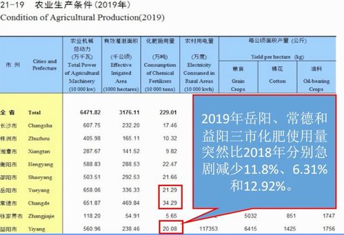 澳门正版资料大全资料贫无担石,实践数据解释定义_suite77.711