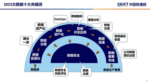 2024年12月5日 第77页