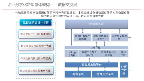 今晚上澳门必中一肖,数据导向方案设计_创意版163.265