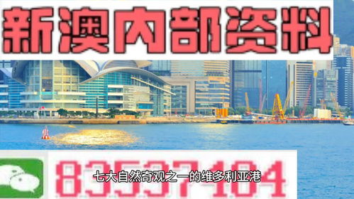 2024年新澳精准资料免费提供网站,可靠计划策略执行_4K版8.211