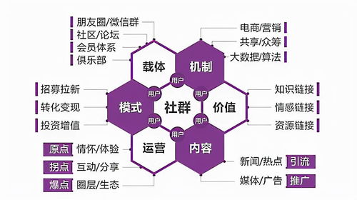 新澳门六合,深层数据执行设计_战略版9.616