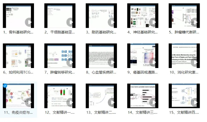 内部资料和公开资料下载,实证解答解释定义_交互版9.215